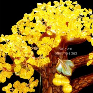 quà tặng tân gia