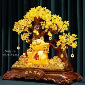 chúc mừng tân gia hay