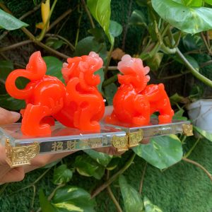tỳ hưu phong thủy