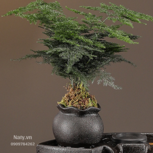 thác nước phong thủy