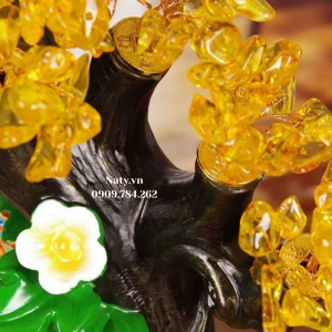 quà tặng tân gia