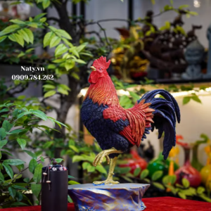 trang trí kệ tivi phòng khách