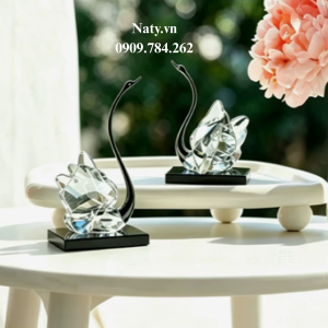 thiên nga phong thủy